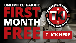 Twinsburg Karate Institute